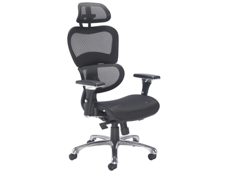 Ashvale Saturn Ergo Office Chair main product photo