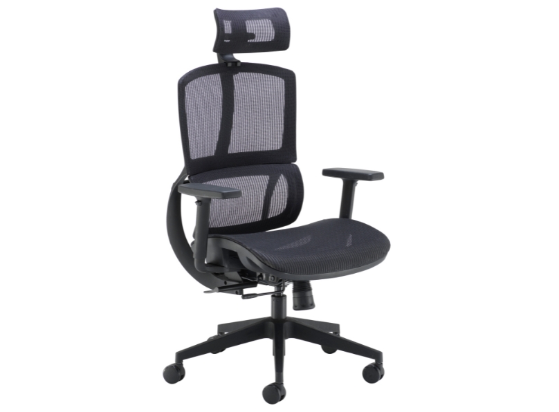 Ashvale Darley Ergo Office Chair main product photo