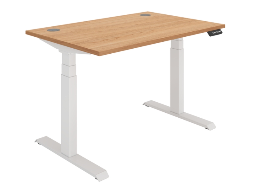 Ashvale Harrow Dual Motor Standing Desk main product photo