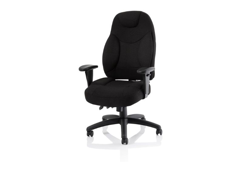 Ashvale Seahill Ergo Executive Office Chair main product photo