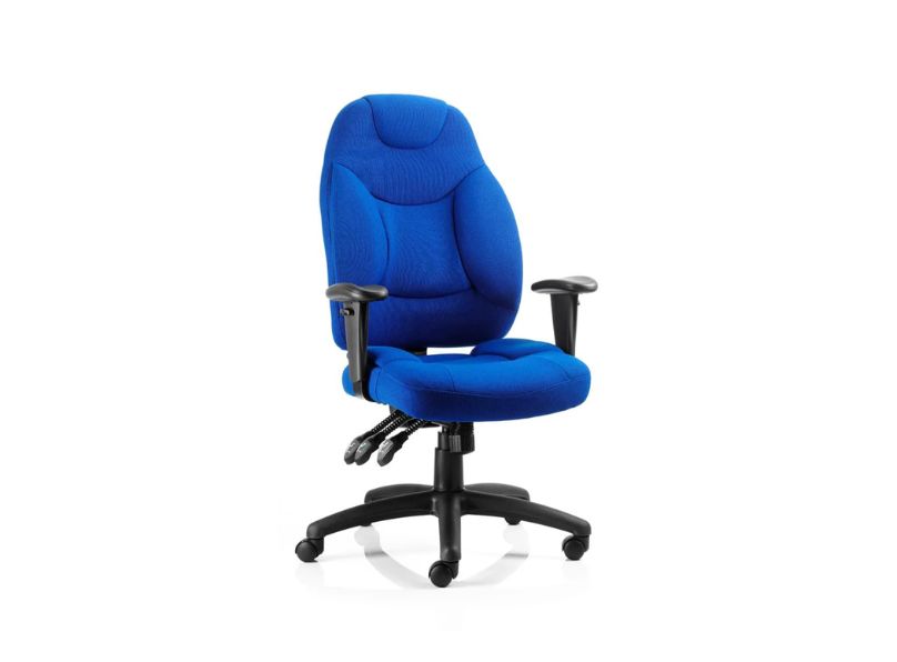 Ashvale Seahill Ergo Executive Office Chair main product photo