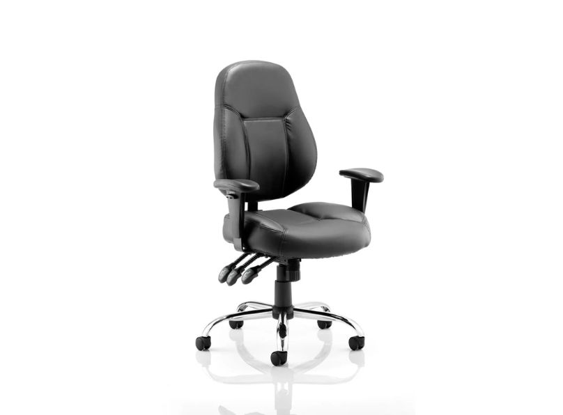 Ashvale Selby High Back Office Chair main product photo
