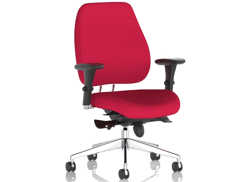 Ashvale Portland Plus Posture Office Chair main product photo