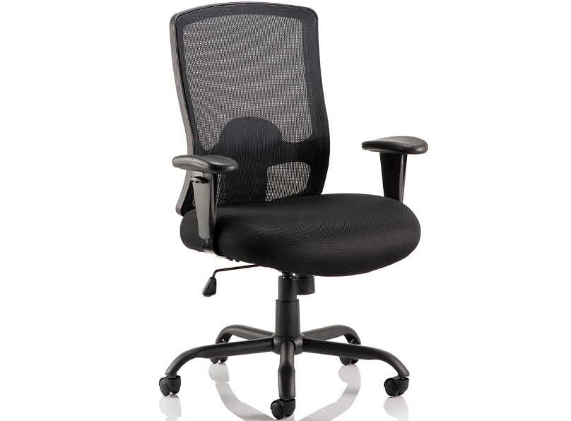 Ashvale Preesall Plus Mesh Back Office Chair main product photo